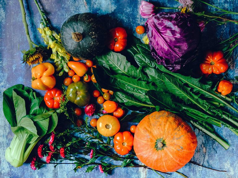 variety vegetables